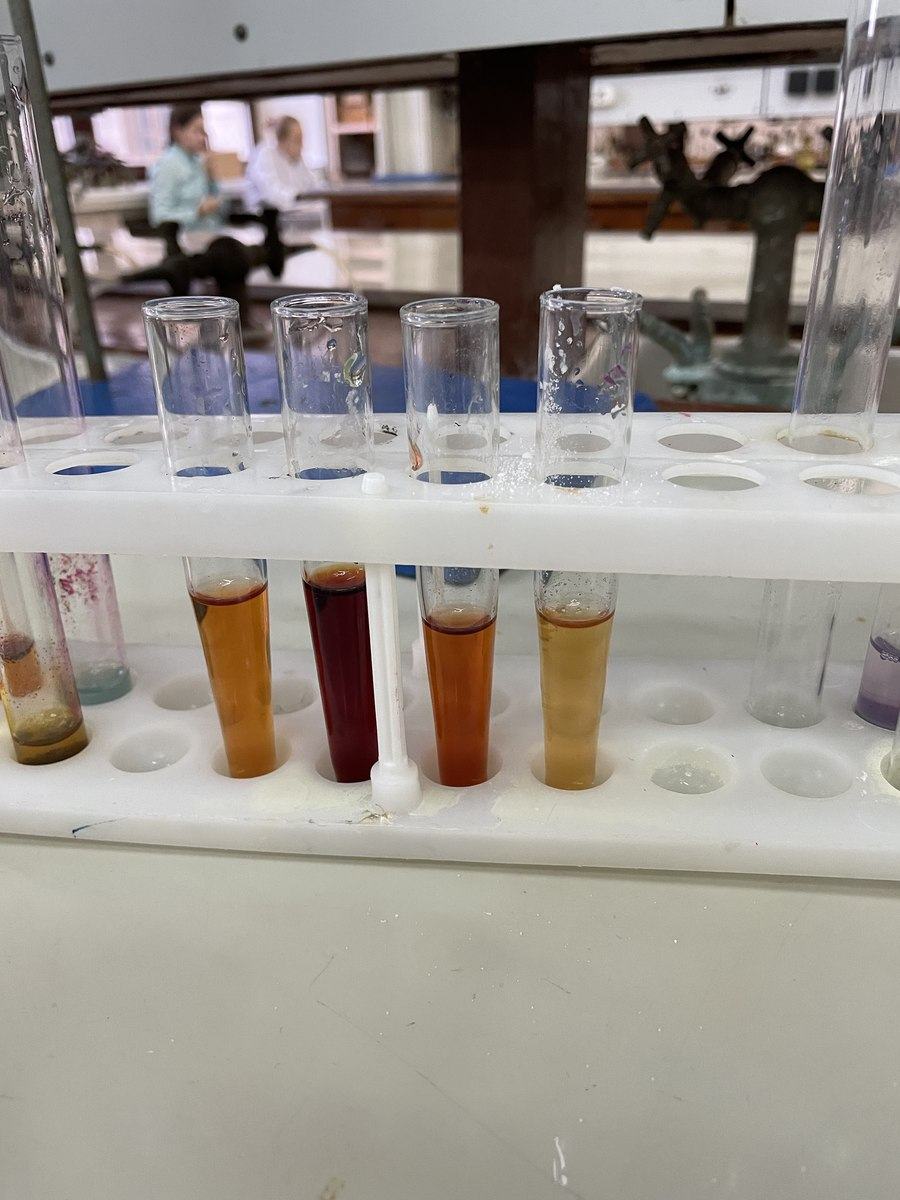 Test tubes with coloured solutions from a chemistry lab session