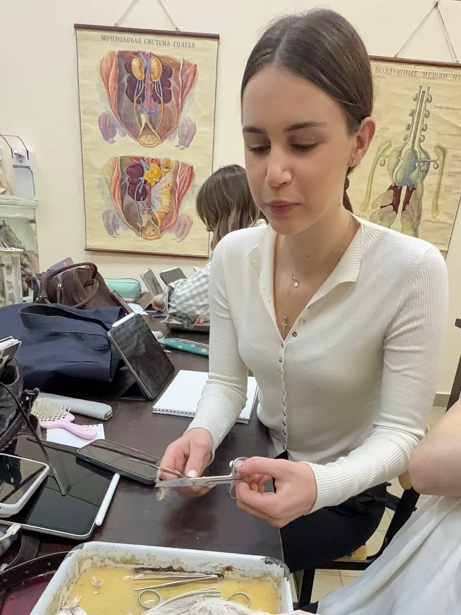 Mariia Miroshnik working with a specimen during a practical class, anatomical posters in the background