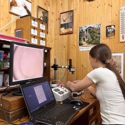 Setting up the behavioral arena and temperature-controlled equipment for the experiment
